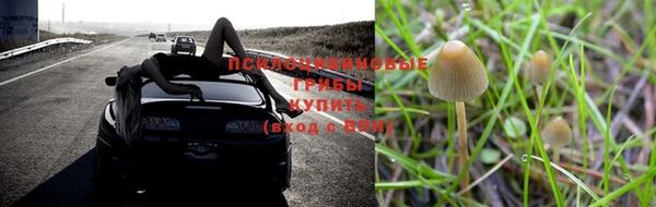 твердый Верхний Тагил