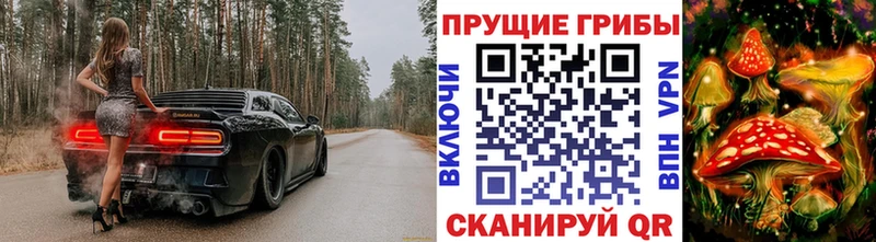 Купить закладки  Малмыж  Псилоцибиновые грибы GOLDEN TEACHER 